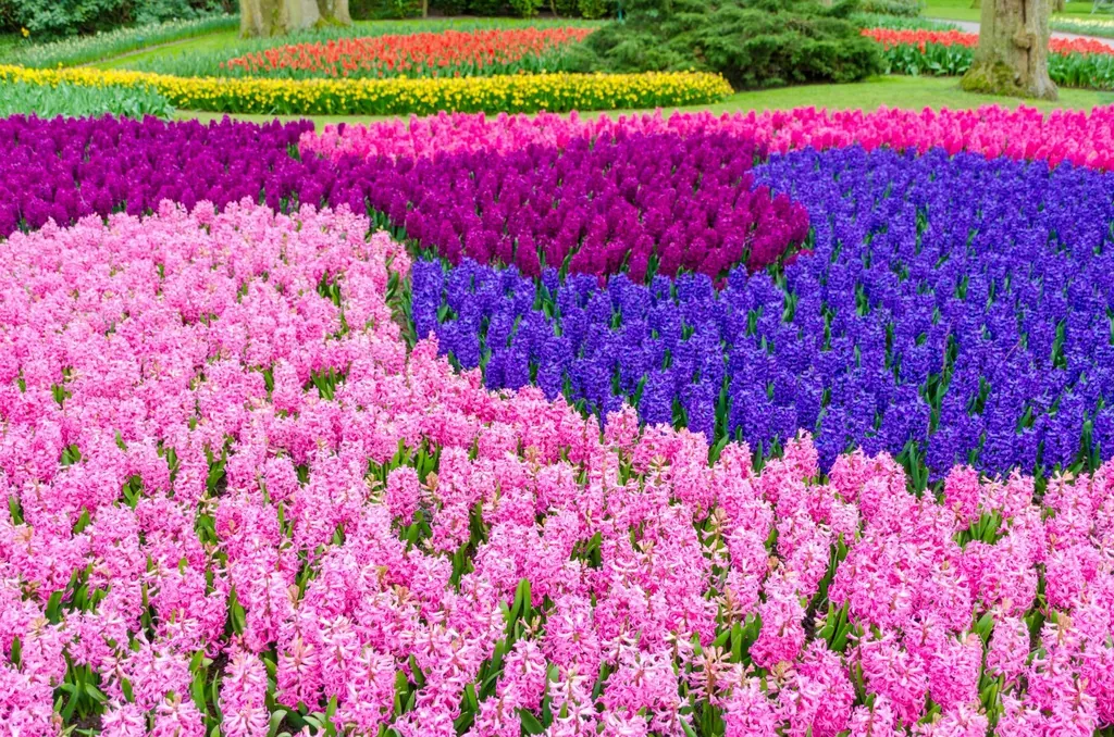 Các báo nước ngoài lựa chọn nhà thờ TP.HCM lọt top địa điểm màu hồng hàng đầu trên thế giới Các báo nước ngoài lựa chọn nhà thờ TP.HCM lọt top địa điểm màu hồng hàng đầu trên thế giới 06