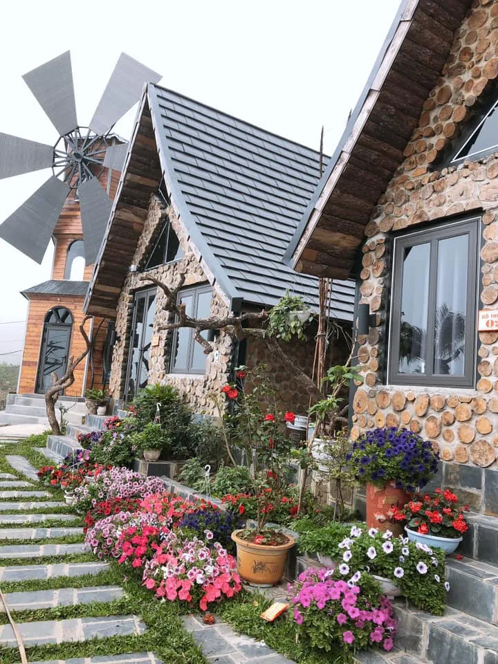 Kinh nghiệm đi du lịch Tam Đảo vào cuối tuần Kinh nghiệm đi du lịch Tam Đảo vào cuối tuần 06