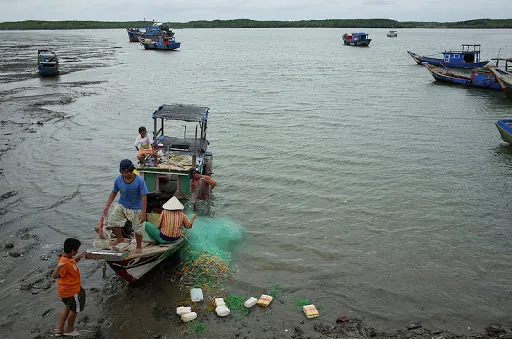 Kinh nghiệm du lịch đảo Thạnh An mùa hè chi tiết Kinh nghiệm du lịch đảo Thạnh An mùa hè chi tiết 04