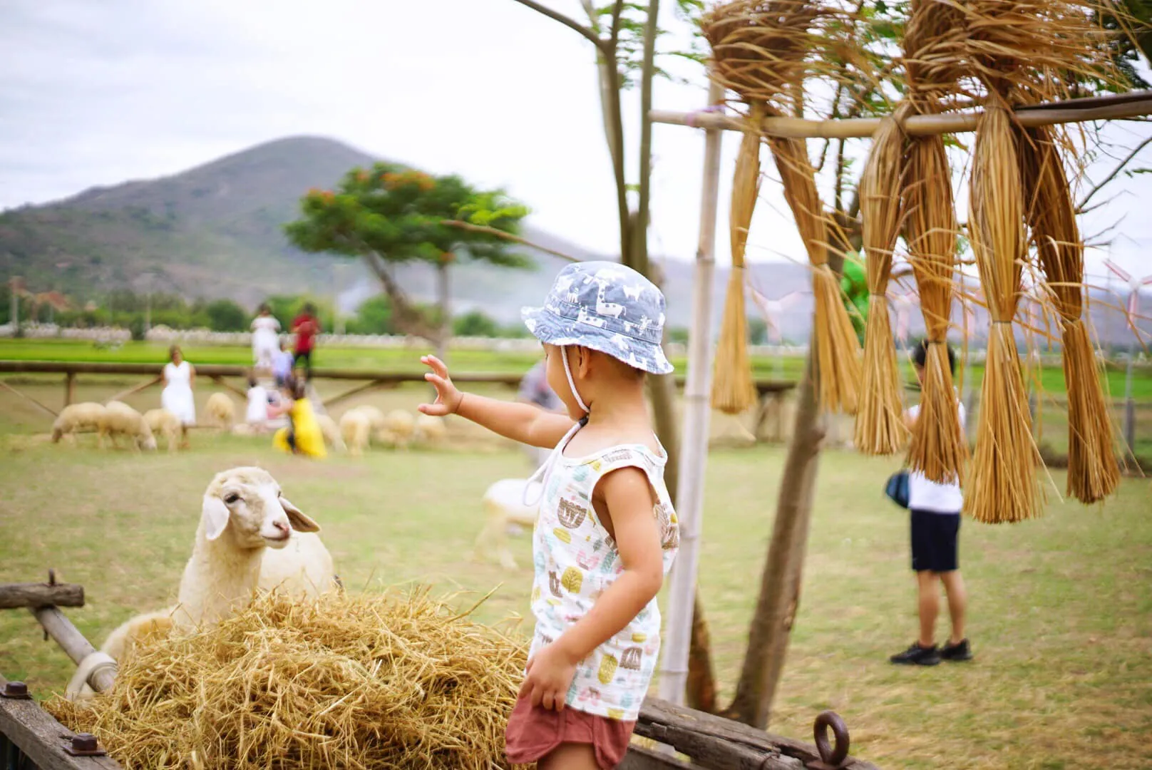 Review chuyến đi du lịch Nha Trang combo 2 tour cùng lúc Review chuyến đi du lịch Nha Trang combo 2 tour cùng lúc 03