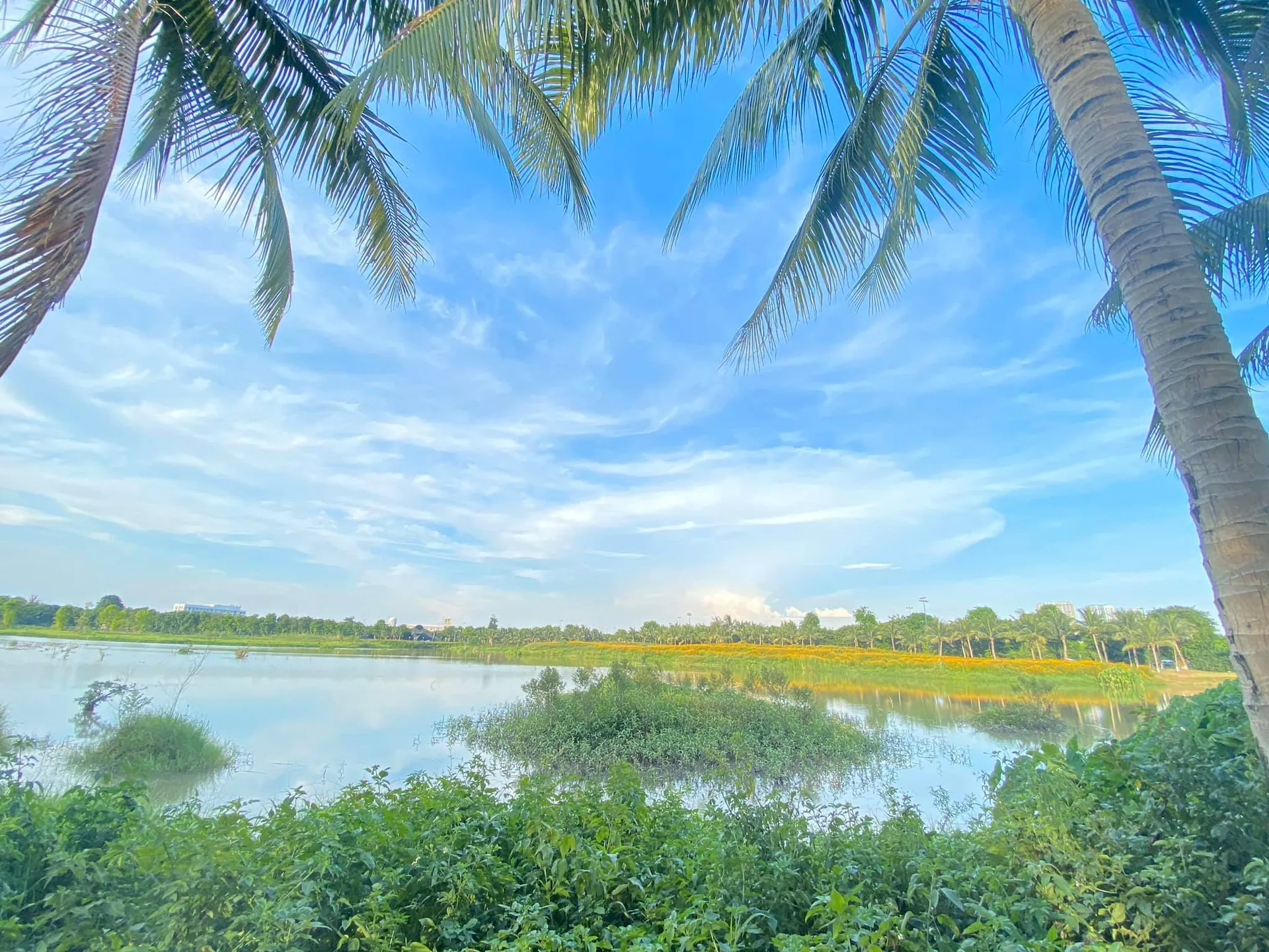 Review Ecopark- Dã ngoại khu đô thị xanh ở ven Hà Nội cùng gia đình vào cuối tuần Review Ecopark- Dã ngoại khu đô thị xanh ở ven Hà Nội cùng gia đình vào cuối tuần 10